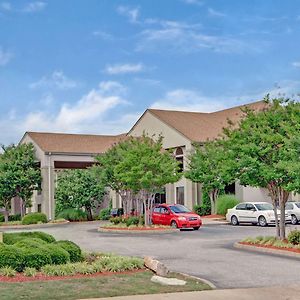 Super 8 By Wyndham Olive Branch